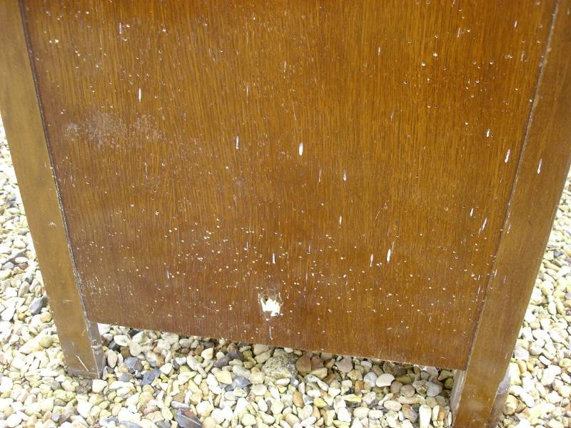 Woodworm Infested Suite